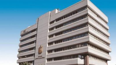 إصدار النظام الأساسى لصندوق حماية حملة وثائق التأمين