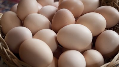 شعبة الدواجن: تراجع أسعار البيض خلال الربع الأخير من رمضان