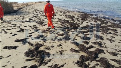 إجراءات عاجلة للسيطرة على التلوث الزيتي بـ