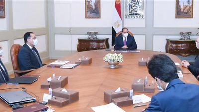 السيسي يوجه بالبدء الفوري في مشروع «الدلتا الجديدة» بمساحة مليون فدان