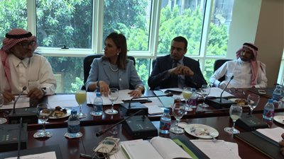 سحر نصر: تنفيذ مشاريع تنمية سيناء في انتظار موافقة 