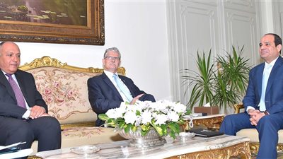 رئيس الأمم المتحدة يُشيد بدور مصر في حل القضية الفلسطينية