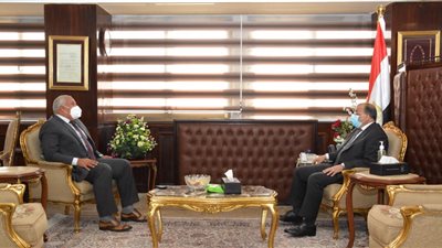 وزير التنمية المحلية يتابع الموقف التنفيذي للمشروعات في الوادي الجديد