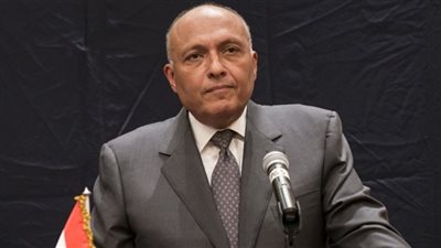 السيسي يطالب وزير الخارجية بتسهيل عملية تصويت المصريين بالخارج