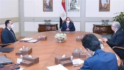 عامان على الأكثر.. توجيهات رئاسية بسرعة الانتهاء من مشروع الدلتا الجديدة