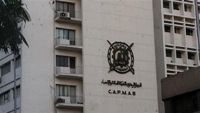 «الإحصاء»: 760.7 ألف فرد يعملون بالقطاع العام والأعمال العام في 2020