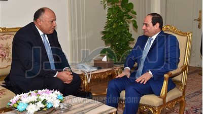 شكري يستعرض مع الرئيس خطة العمل المصرية المرتقبة في مجلس الأمن