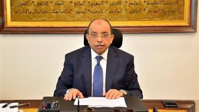 «التنمية المحلية»: ضخ 25 مليار جنيه في مبادرة «مشروعك» خلال 5 سنوات