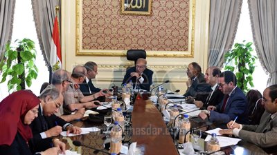 الحكومة تقدم استشكالا على حكم وقف نقل اختصاصات الحجز الزراعي