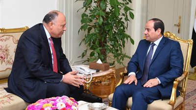 مصر تطالب الأمم المتحدة بتخفيف قرارها ودعم الجيش الليبي بالأسلحة