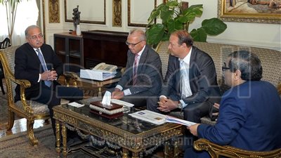 رئيس الوزراء: مصر حققت إنجازات كبيرة في قطاع الكهرباء