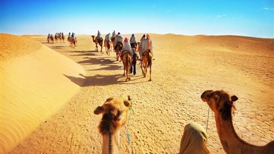 مصر تفوز برئاسة المجلس التنفيذى لمنظمة السياحة العالمية لعام 2016