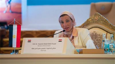 فؤاد: لن يتم تمويل مشروعات تزيد من حدة تغير المناخ