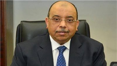 شعراوي يتابع جهود برنامج «تنمية صعيد مصر»  في سوهاج وقنا