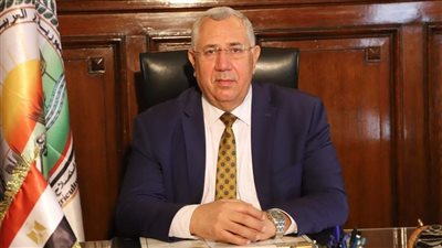 دخول أول شحنة برتقال مصري إلى الأسواق اليابانية