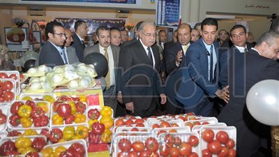 5 شركات تشارك في معرض 