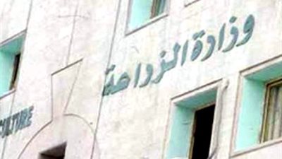 وزير الزراعة يقرر تعيين مجلس إدارة لمدة عام لاتحاد منتجي الحاصلات البستانية