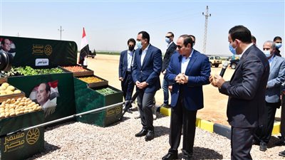 السيسي: مليار جنيه تكلفة الكهرباء لمشروع مستقبل مصر