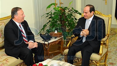 تفاصيل لقاء السيسي ومدير وكالة الاستخبارات المركزية الأمريكية