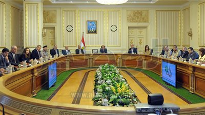 إنشاء مركز القاهرة الدولي للتدريب على تسوية النزاعات وحفظ وبناء السلام