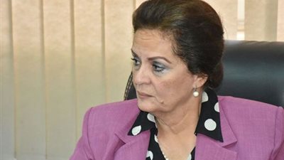 محافظ البحيرة: 1207 طلبات تقنين وضع يد على أراضي أملاك الدولة