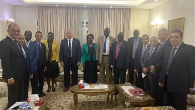 وزير الزراعة يبحث آفاق التعاون الزراعي بين مصر وجنوب السودان