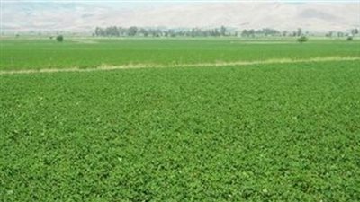 الإحصاء: 14,8% زيادة في الأصول الثابتة للشركات الخاصة عام 2015