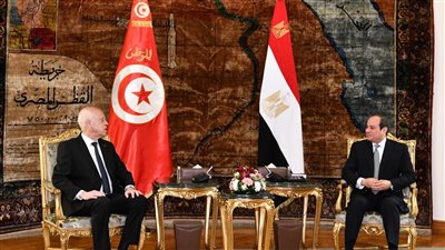 السيسي يبحث مع نظيره التونسي سبل تعزيز التعاون الثنائي
