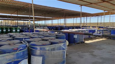 ياسمين فؤاد تتابع الموقف البيئي للصرف الصناعي لشركات البترول في جنوب سيناء