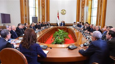 6 قضايا على مائدة الرئيس في اجتماعه العاجل مع الحكومة