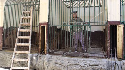 حدائق الحيوان تستعد لعيد الفطر بتجديدات شاملة (صور)