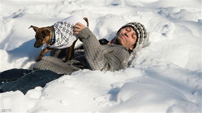 حقيقة ترويض البشر للكلاب.. متى بدأت وأين؟