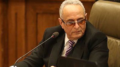 أبو شقة: البرلمان هو صاحب السلطة الحقيقية في إقرار المعاهدات