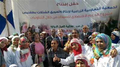 منظمة العمل الدولية: افتتاح 4 تعاونيات بالأقصر لإنتاج وتسويق الشتلات وتنمية الثروة الحيوانية