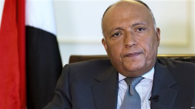  سامح شكري يشارك في الاجتماع الموسع حول سوريا في فيينا الجمعة 