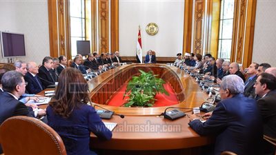 السيسي يوجه بأهمية تطوير السكك الحديد ويستعرض آخر مشروعات الصرف الصحي