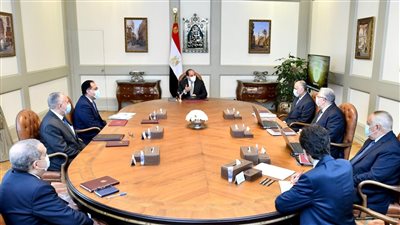 الرئيس يوجه بتكامل تطوير نظم الري الحديث مع مشروعات الدولة