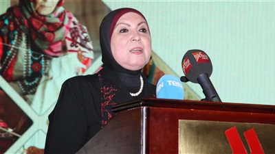 جهاز «تنمية المشروعات» يخطط لضخ ملياري جنيه عبر البنوك خلال 2019