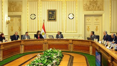 الحكومة: حملات إزالة التعديات على أراضي الدولة مستمرة دون توقف