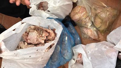 الصحة: غلق 4 منشآت غذائية وإعدام طن و250 كيلو جراما أغذية فاسدة