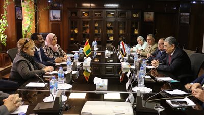 وزير الكهرباء يبحث مع نظيره الغيني تعزيز التعاون المشترك
