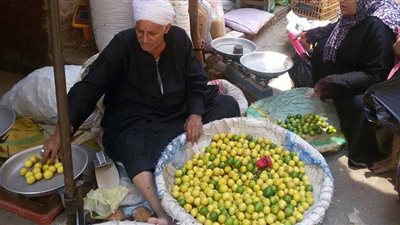 بعد ارتفاعه لـ40 جنيهًا.. تعرف على موعد انخفاض أسعار الليمون