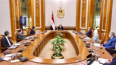 السيسي يستعرض تطورات العمل في منظومة التأمين الصحي الشامل