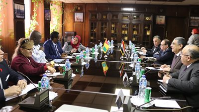 «شاكر»: مستعدون لتقديم الدعم الفنى لمشروعات الكهرباء فى غينيا 