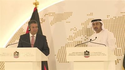 وزير خارجية الإمارات: هذا ما سنفعله حال رفض قطر للمطالب