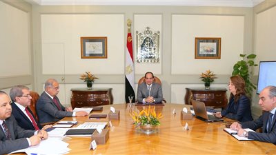 المالية: زيادة دعم السلع التموينية والصحة لـ115 مليار جنيه بالموازنة الجديدة