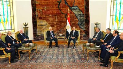 السيسي يبحث مع 