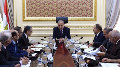 شريف إسماعيل يبحث مع وزير الكهرباء تحسين أداء الشبكة القومية