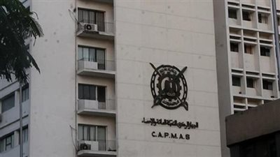 «الإحصاء»: 15.6% إنخفاضا فى الأجانب العاملين بالقطاع الحكومي خلال 2020