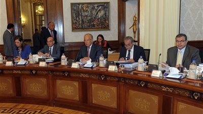 الحكومة تخصص عدد من قطع الاراضي لإقامة المشروعات الخدمية  